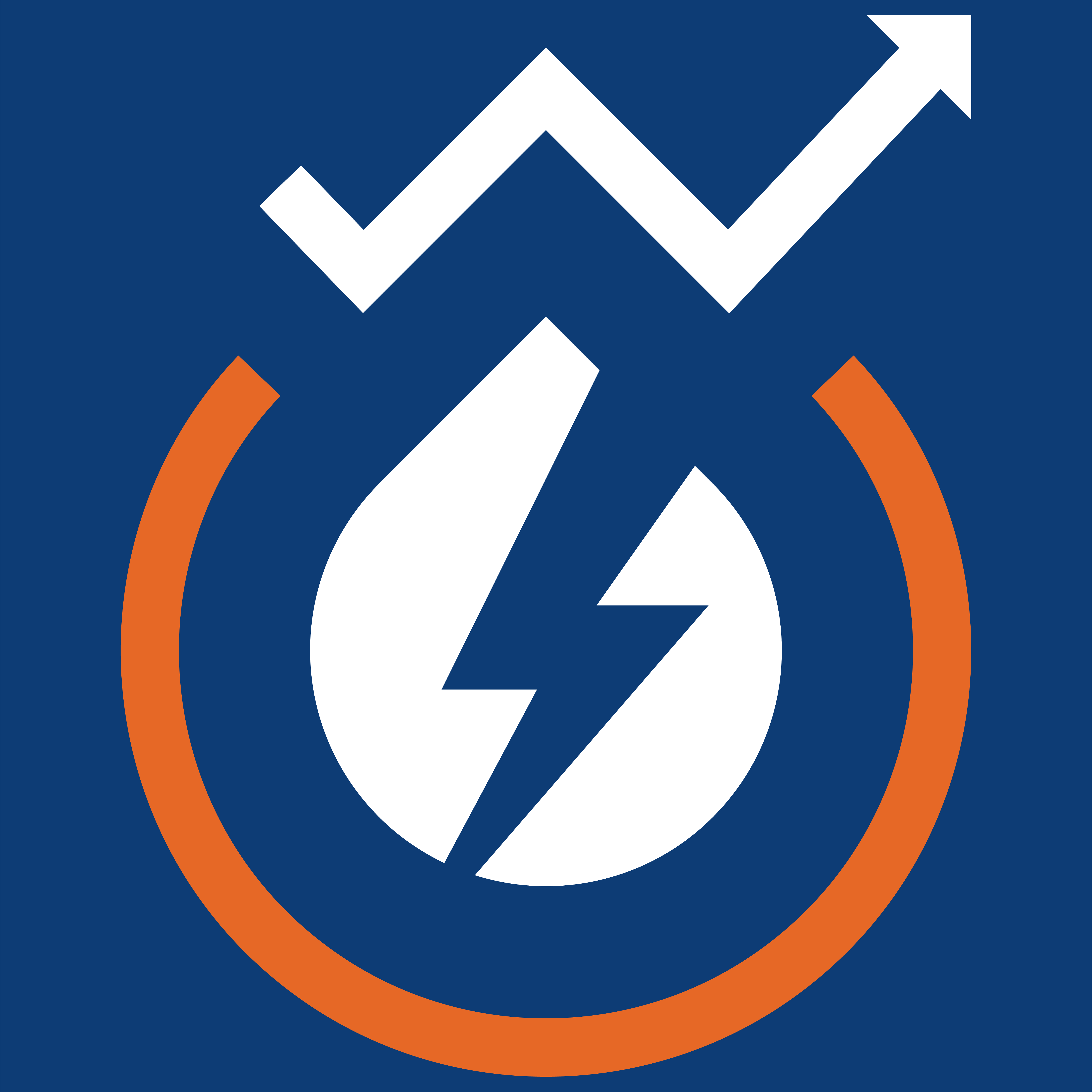 Director of Operations